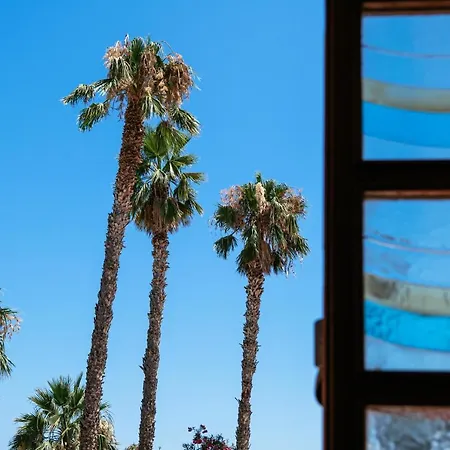 Palm Club Hotel