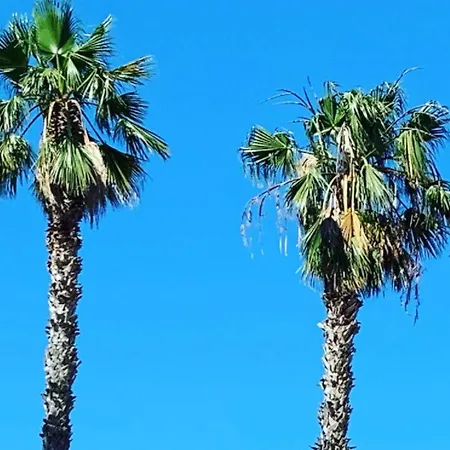 Palm Club 4* Casteldaccia