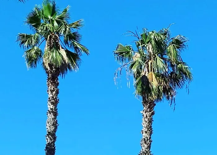 Palm Club 4* Casteldaccia